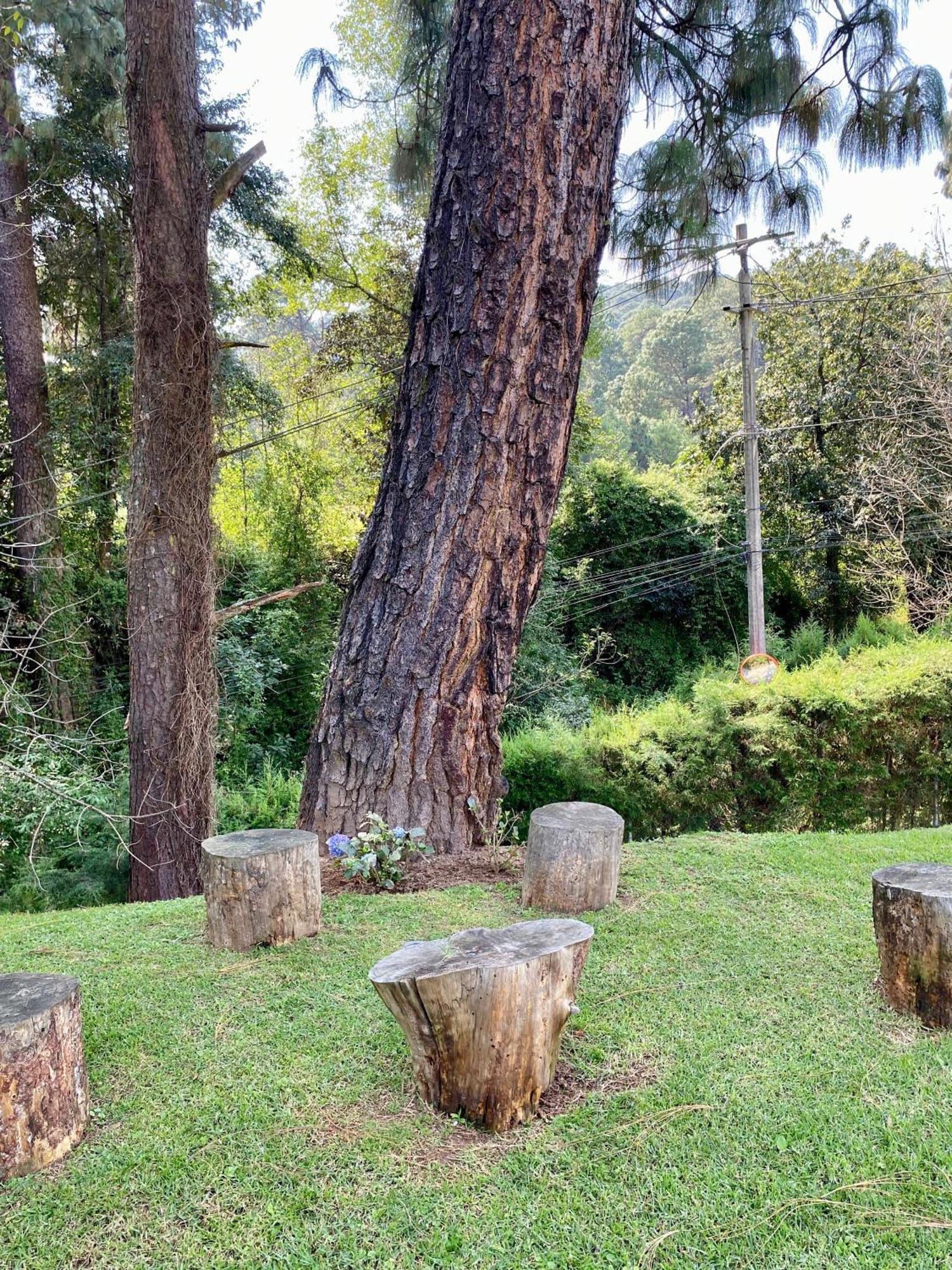 Villa Nona Acatitlan Ngoại thất bức ảnh